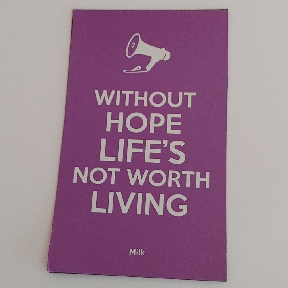 Harvey Milk Without hope life's not worth living FRIDGE MAGNET Inspirational
